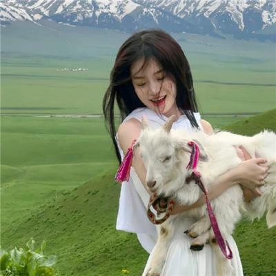 丛林少女之重启